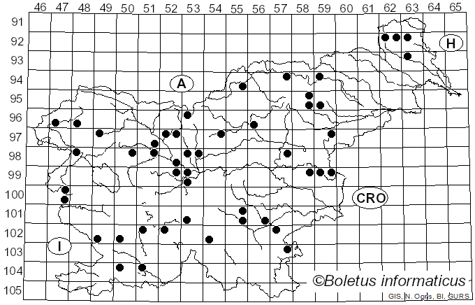 <i>Clavaria fragilis</i> Holmsk. (1790)