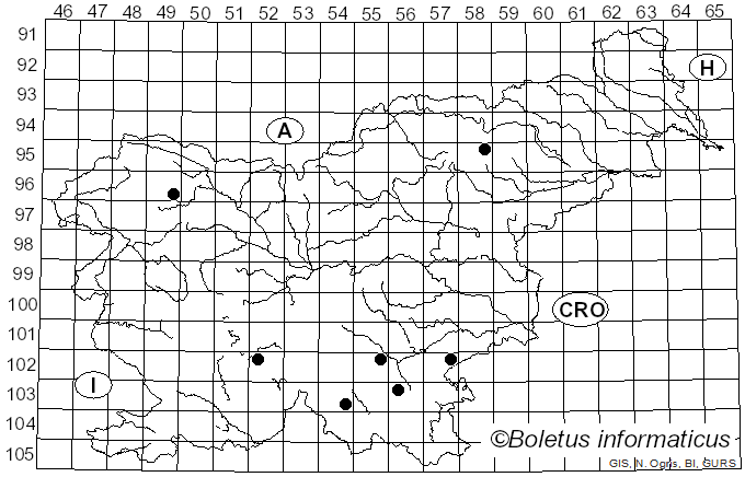 <i>Cystostereum murrayi</i> (Berk. & M.A. Curtis) Pouzar (1959)