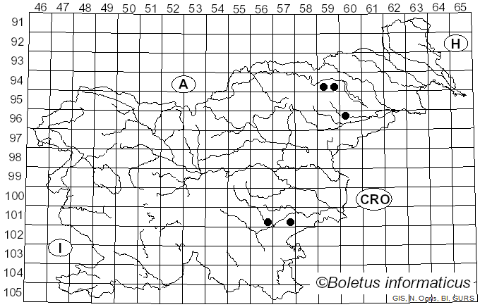 <i>Cortinarius polymorphus</i> Rob. Henry (1985)