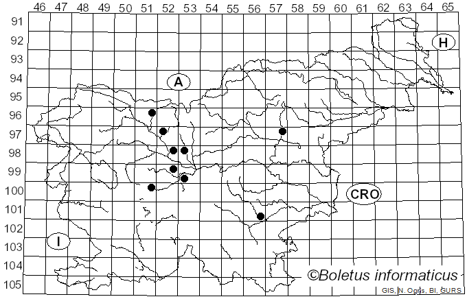 <i>Buchwaldoboletus hemichrysus</i> (Berk. & M.A. Curtis) Pilát (1969)