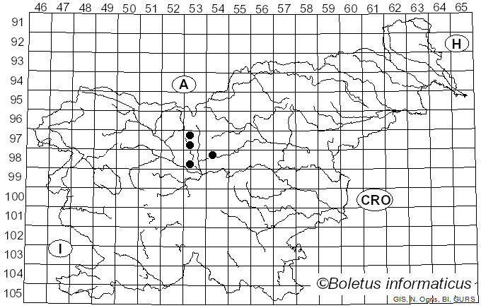 <i>Triphragmium</i> Link (1825)