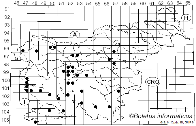 <i>Gymnosporangium</i> R. Hedw. ex DC. (1805)