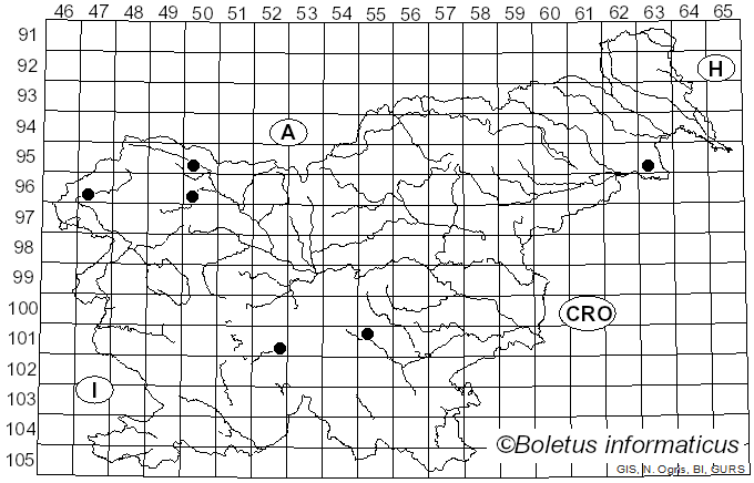 <i>Amanita coryli</i> Neville & Poumarat (2009)