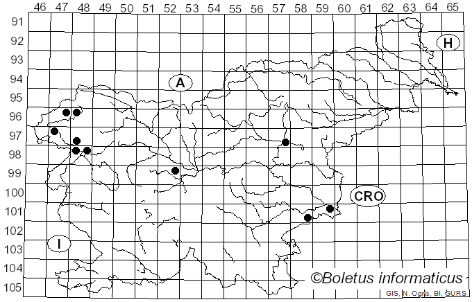 <i>Lecanosticta</i> Syd. (1922)