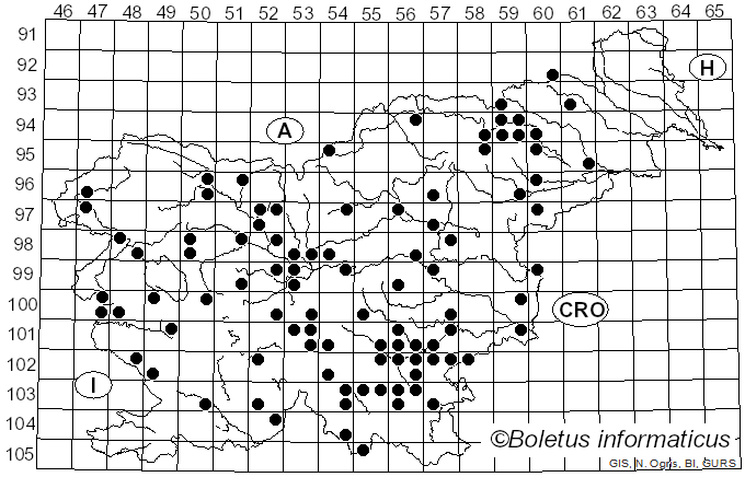 <i>Cerioporus squamosus</i> (Huds.) Quél. (1886)