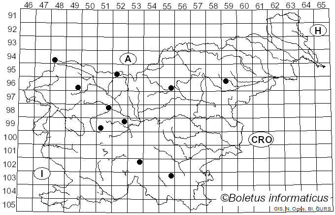 <i>Lirula macrospora</i> (R. Hartig) Darker (1967)