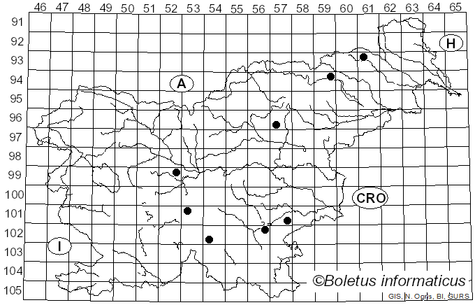 <i>Cortinarius betulinus</i> J. Favre (1948)