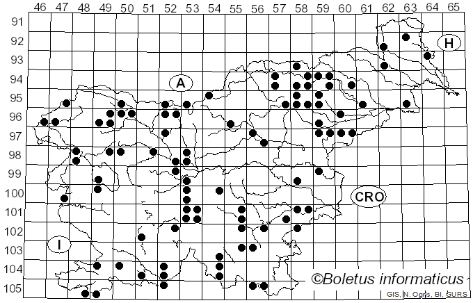 <i>Scutellinia</i> (Cooke) Lambotte (1887)