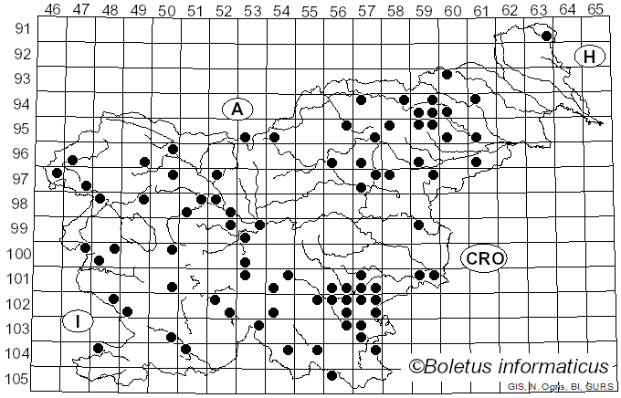 <i>Russula chloroides</i> (Krombh.) Bres. (1900)