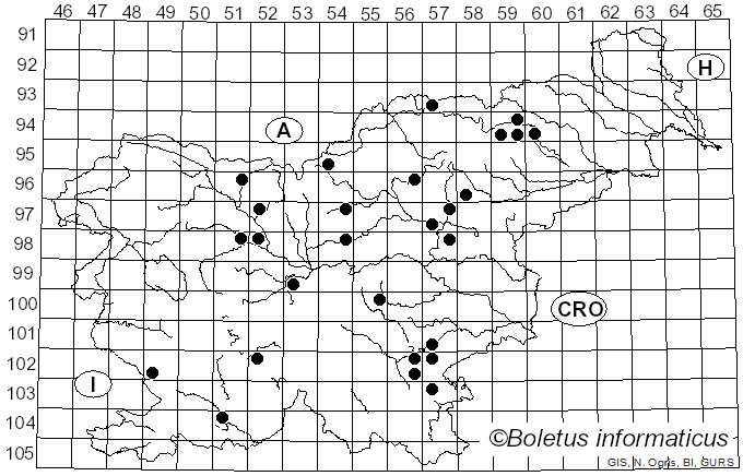 <i>Lepiota helveola</i> Bres. (1882)