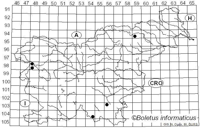 <i>Calycina claroflava</i> (Grev.) Kuntze (1898)