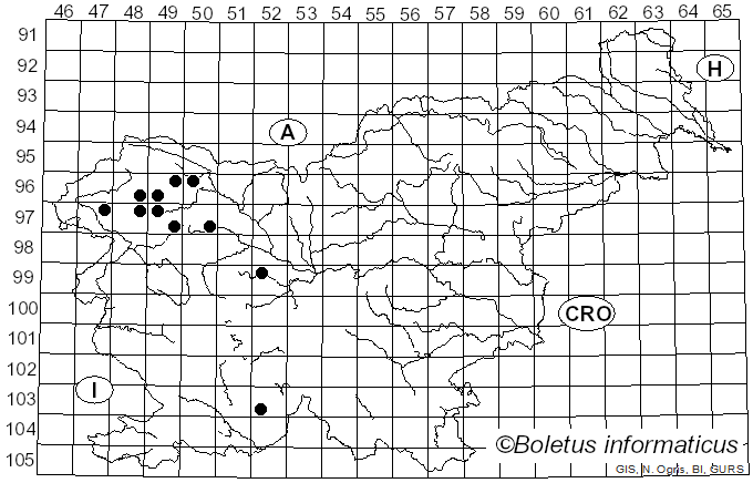 <i>Dermatocarpon miniatum</i> var. <i>miniatum</i> (L.) W. Mann (1825)
