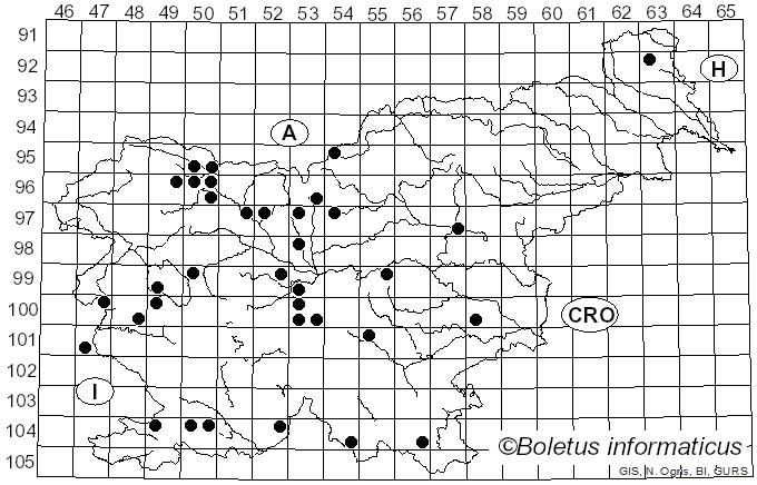<i>Trichia</i> Haller (1768)