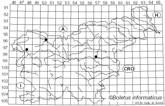 <i>Singerocybe phaeophthalma</i> (Pers.) Harmaja (1988)