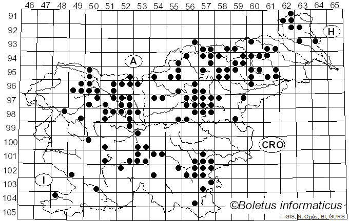 <i>Amanita porphyria</i> Fr. (1805)