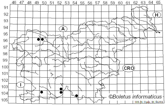 <i>Sarea</i> Fr. (1825)