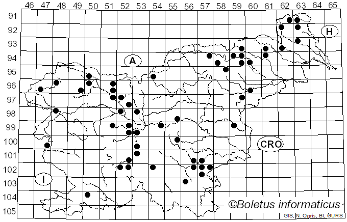 <i>Neoantrodia serialis</i> (Fr.) Audet (2017)