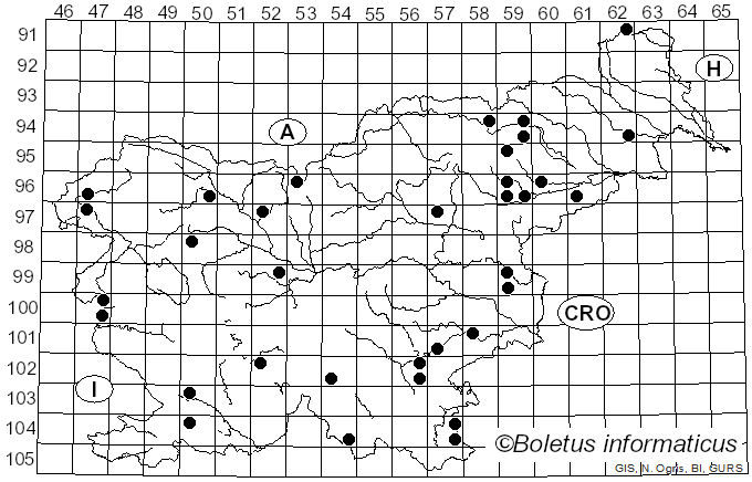 <i>Marasmius bulliardii</i> Quél. (1878)