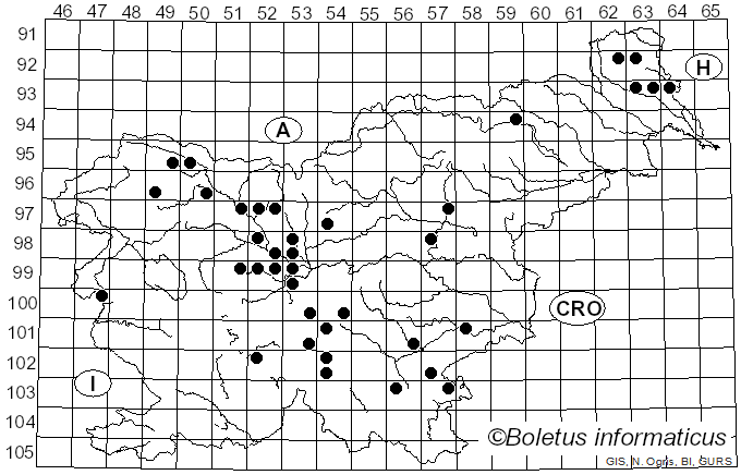 <i>Calodon</i> P. Karst. (1881)