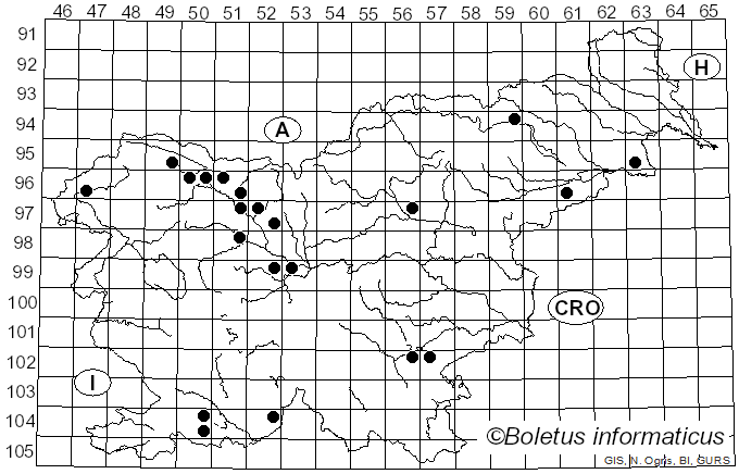 <i>Ciboria</i> Fuckel (1870)