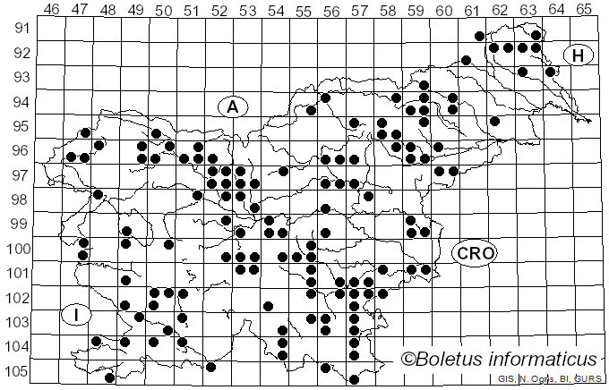 <i>Xylaria hypoxylon</i> (L.) Grev. (1824)