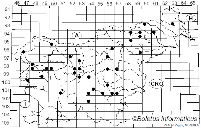 <i>Phellodon melaleucus</i> (Sw. ex Fr.) P. Karst. (1881)