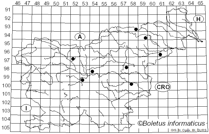 <i>Panaeolus caliginosus</i> (Jungh.) Gillet (1878)