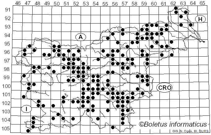 <i>Hebeloma sinapizans</i> (Fr.) Sacc. (1887)