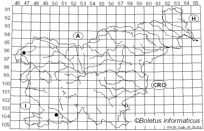 <i>Cephalotrichum</i> Link (1809)