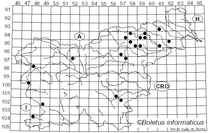 <i>Phlegmacium balteatum</i> (Fr.) A. Blytt (1905)