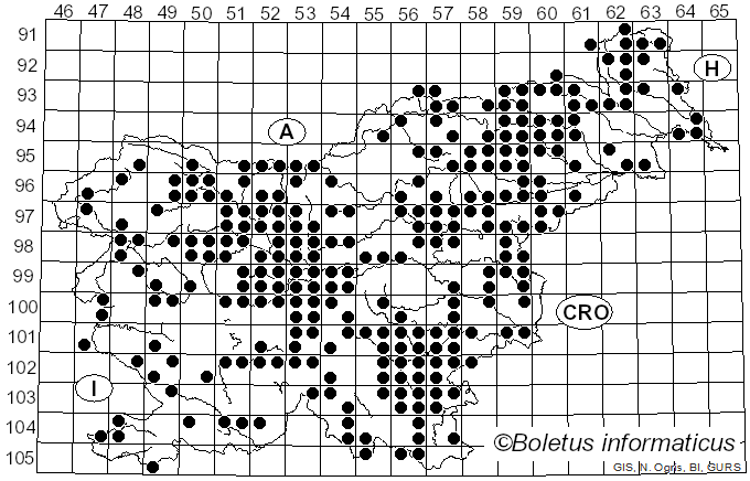 <i>Coprinus</i> Pers. (1797)