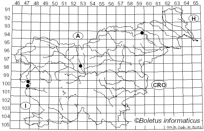 <i>Marasmius graminum</i> (Lib.) Berk. (1860)