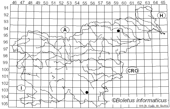<i>Hypholoma vernalis</i>