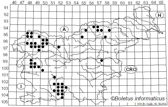 <i>Parmelia sulcata</i> Taylor (1836)