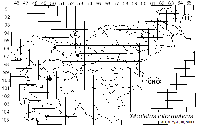 <i>Ramularia urticae</i> Ces. (1863)