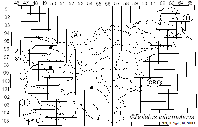 <i>Podophacidium xanthomelum</i> (Pers.) Kavina (1936)