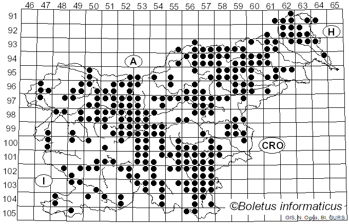 <i>Tricholomopsis</i> Singer (1939)