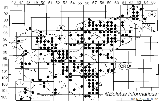 <i>Russula grata</i> Britzelm. (1898)