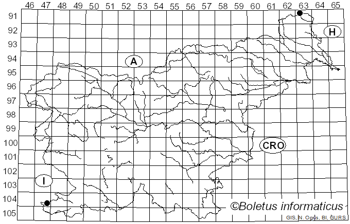 <i>Sepultariella</i> Van Vooren, U. Lindem. & Healy (2017)