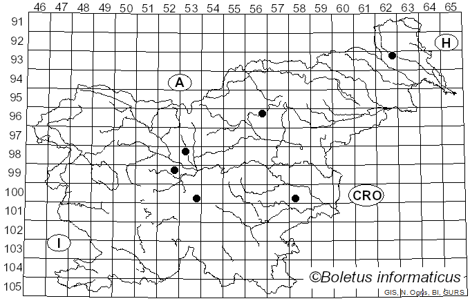 <i>Stigmina carpophila</i> (Lév.) M.B. Ellis (1959)
