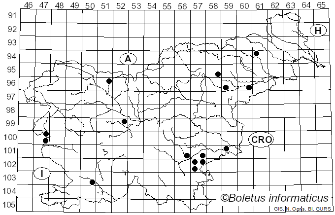 <i>Pluteus thomsonii</i> (Berk. & Broome) Dennis (1948)