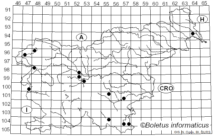 <i>Irpex lacteus</i> (Fr.) Fr. (1828)