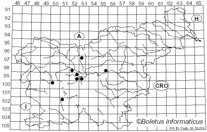 <i>Rhizomorpha</i> Ach. (1809)