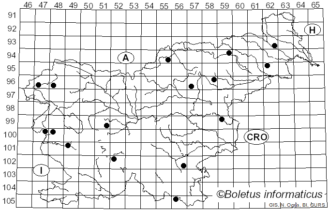 <i>Lepiota oreadiformis</i> Velen. (1920)