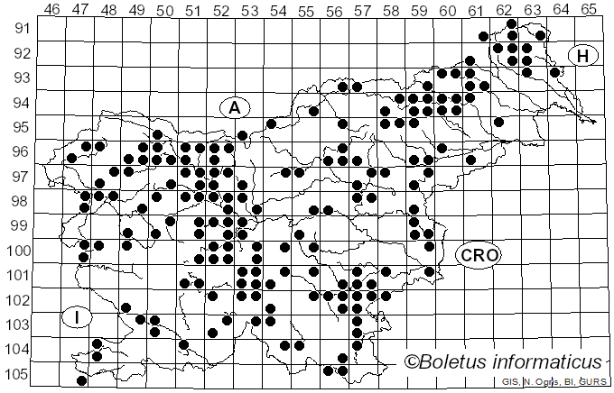 <i>Tricholoma sulphureum</i> (Bull.) P. Kumm. (1871)