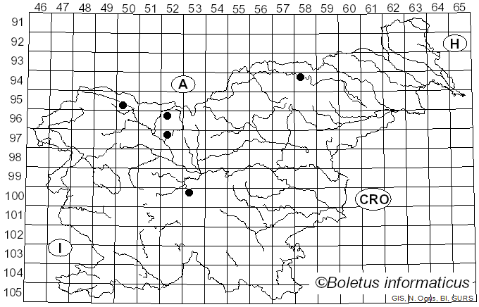 <i>Scutellinia crucipila</i> (Cooke & W. Phillips) J. Moravec (1984)