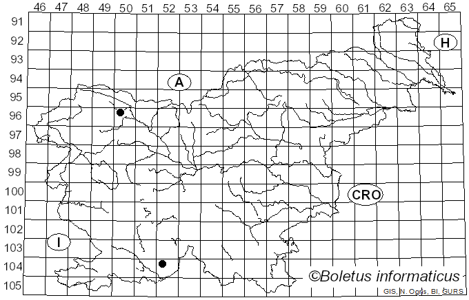 <i>Pirottaea senecionis</i> (Cooke & W. Phillips) Nannf. (1932)