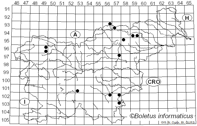 <i>Panaeolus ater</i> (J.E. Lange) Kühner & Romagn. (1985)