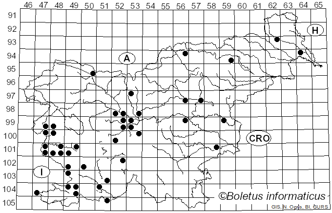 <i>Diplodia</i> Fr. (1834)