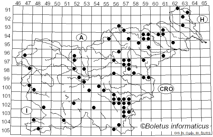 <i>Gymnopus erythropus</i> (Pers.) Antonín, Halling & Noordel. (1997)